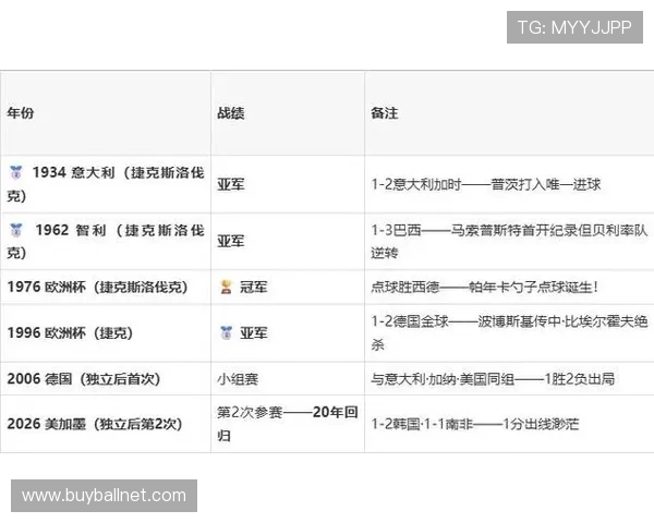 捷克与墨西哥国家队球员身价对比：谁在本届世界杯中更具价值